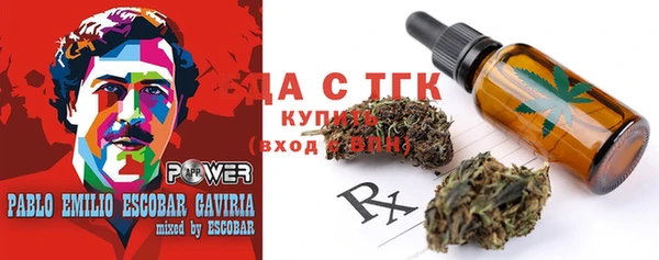 гашик Богданович