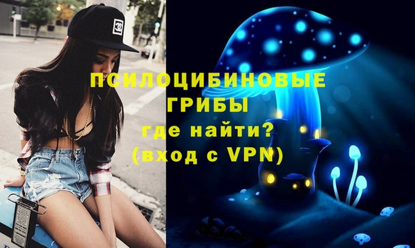 кокс Богородицк