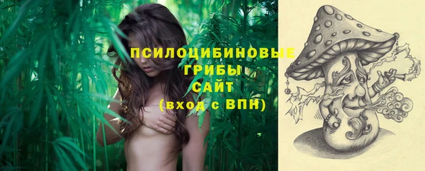гашик Богданович