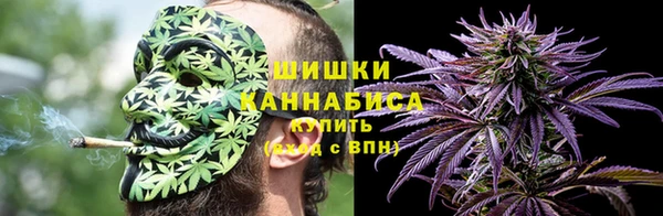 кокс Богородицк