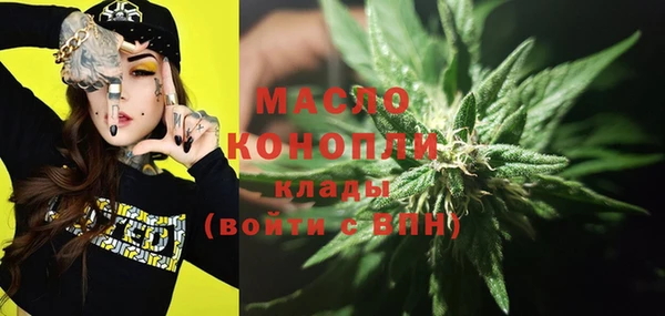 гашик Богданович