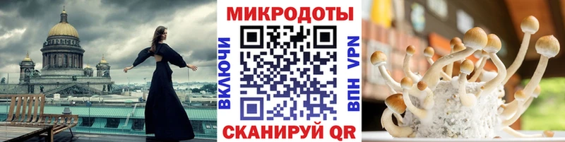 Купить  Волоколамск  Псилоцибиновые грибы мухоморы 